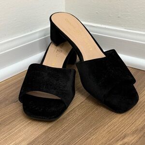 Chinese Laundry Black Velvet Mules